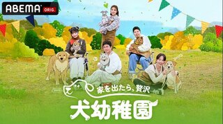 【ABEMA】IVE・レイら韓国芸能界の愛犬家たちが“犬幼稚園”に挑戦！『家を出たら、贅沢』5月31日から国内独占無料配信