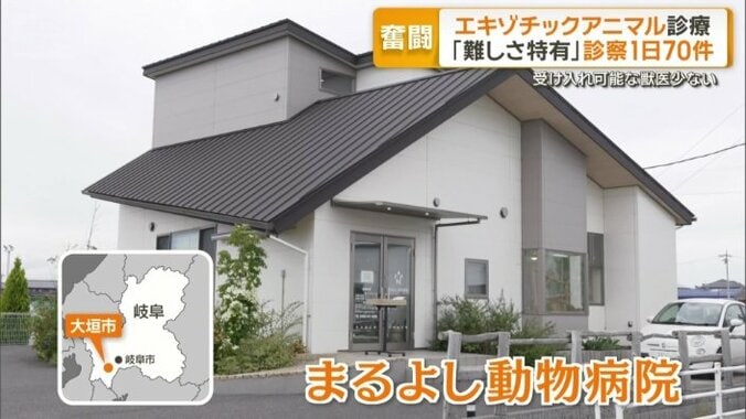 エキゾチックアニマルを診療する全国でも数少ない動物病院
