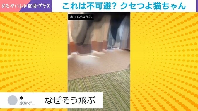 “ジャンピング・よもぎ”が直撃した瞬間