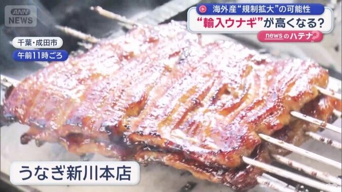 うなぎ新川本店