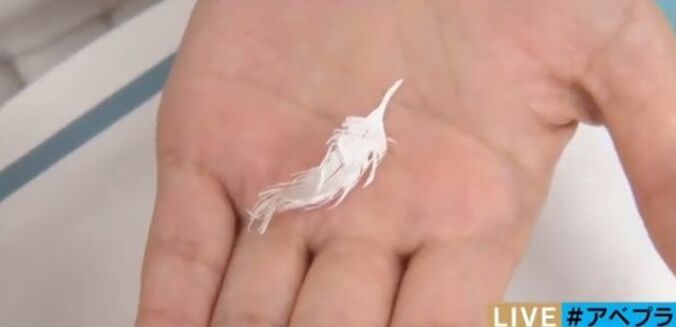 ネットで話題の「奇跡の切り絵」　大きな作品だと価格300万円も 6枚目