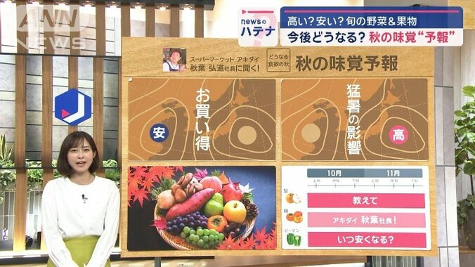 ブドウ・ナシ…「秋の味覚」価格どうなる？　スーパー社長に聞く、お得な野菜＆果物 1枚目