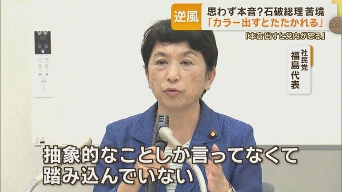 社民党 福島瑞穂代表