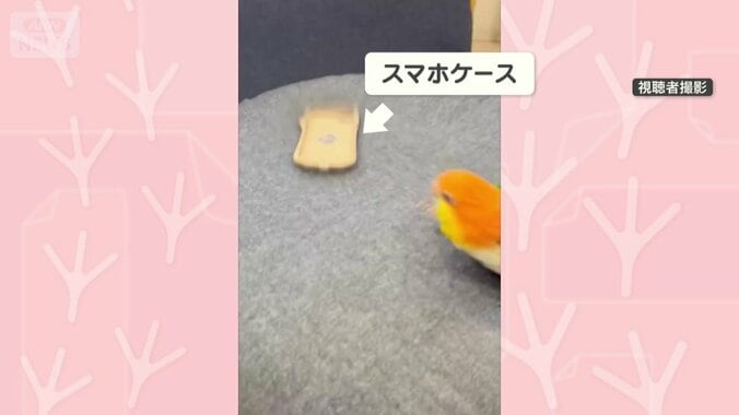 スマホケース見つけた！