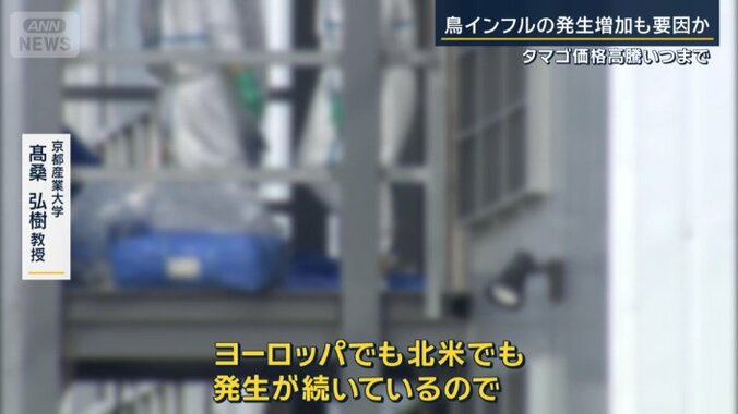 京都産業大学　高桑弘樹教授