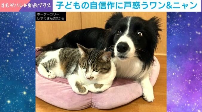 しずくちゃんとバロンくん
