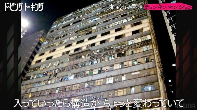 【写真・画像】　2枚目