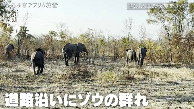 ひろゆき ナミブ砂漠に放置…人生初のヒッチハイクに大苦戦！車にスルーされ続けぼやき「先は長そうだ…」 4枚目