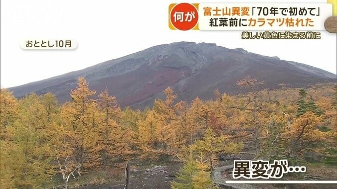 今年の富士山にある異変が…