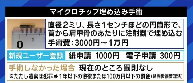 犬猫の殺処分、マイクロチップの埋め込み義務化だけでは抑制できない?背景にある“ペットショップ問題”とは 2枚目