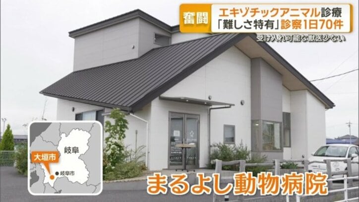 エキゾチックアニマルを診療する全国でも数少ない動物病院