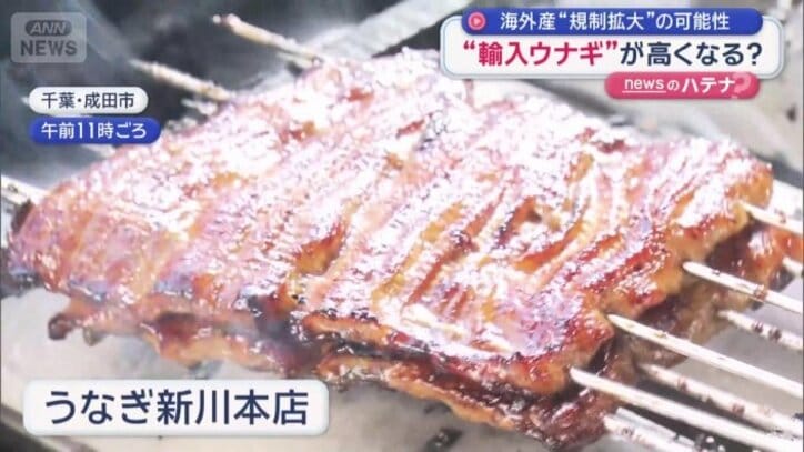 うなぎ新川本店