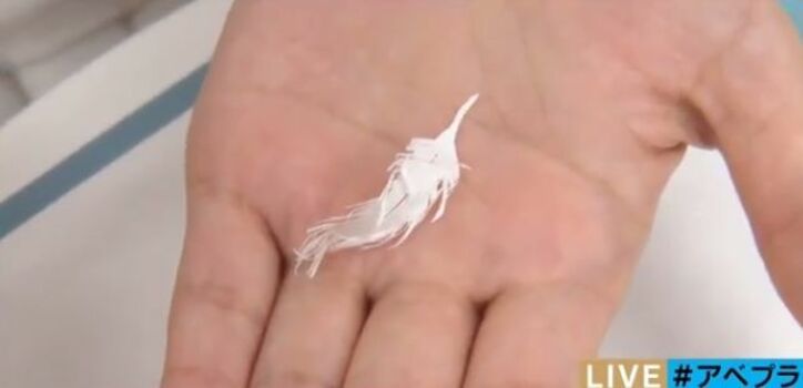 ネットで話題の「奇跡の切り絵」 大きな作品だと価格300万円も