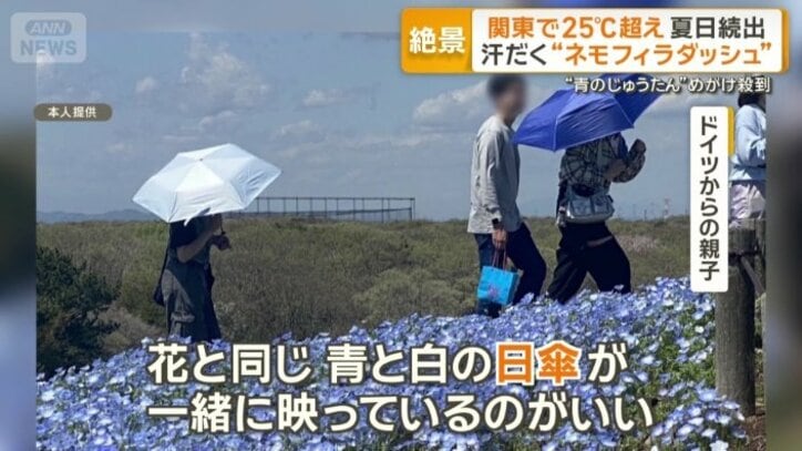 お気に入りの1枚