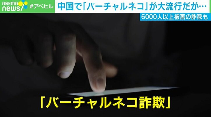 中国で話題の「バーチャル猫」珍しい猫には1200万円以上の高値 人気の裏で6000人以上の詐欺被害も