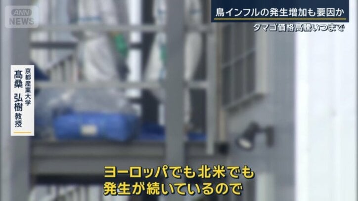 京都産業大学　高桑弘樹教授