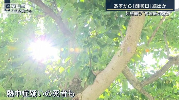 富山市