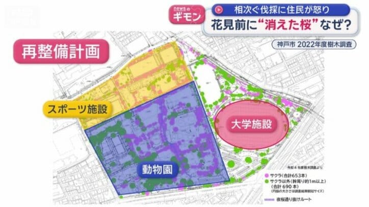 大学キャンパスを作り、スポーツ施設は移設