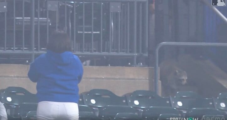 【写真・画像】球場に“異変”… ヤンキースファンの“異様な光景”「エグすぎる」「これは…」禁断移籍の“裏切り者”にとんでもない行動　1枚目