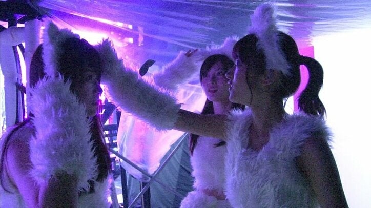 乃木坂46ライブDVD＆Blu-rayに特典映像が収録、予告編も公開