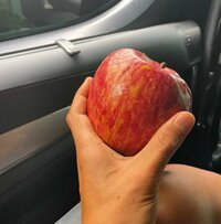 市川海老蔵『午前中のスケジュールおえて』