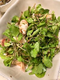 小川菜摘『☆お献立☆』