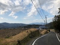 研ナオコ『実家』