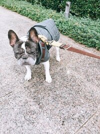 松居直美『今日は更年期だ(*'▽'*)』