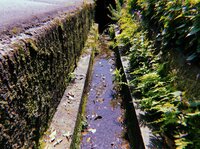 平埜生成『ティーチャーとティータイムきなり。』