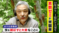 素数ゼミって何だ？221年ぶり…米国に1億匹襲来!?