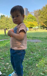 hitomi『手抜きピクニック』