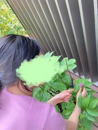 市川海老蔵『W牡丹』