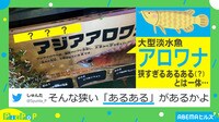 SNSで話題の“ゴッド”な写真とは