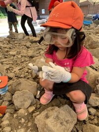 鈴木福『恐竜づくしの１日』