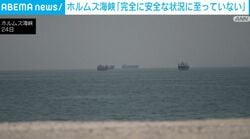 ホルムズ海峡「完全に安全な状況に至っていない」