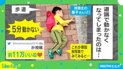 道端に寝転ぶイヤイヤ期の子どもに共感の嵐 投稿者「理由を忘れて雑草イジイジしてた」