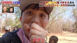 体と同じ長さの舌で獲物を捕食するカメレオン…驚異のスピードにテレ朝女子アナ驚愕「本当に体と同じくらいの長さのベロが…」