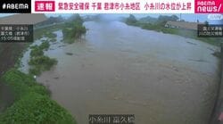 茶色く濁った水が草木を飲み込む… 千葉・君津市の小糸川 水位変化の瞬間
