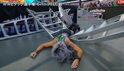 「夫が妻を…」“あってはならない”光景に騒然 衝撃の場外落下に会場どよめき