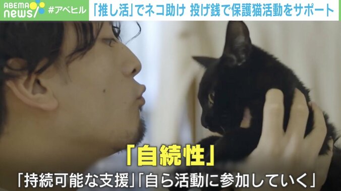 “推し活”で猫を救え！保護猫活動支援サービスに込めた思い「殺処分が減っていく連鎖反応が生まれたら」 3枚目