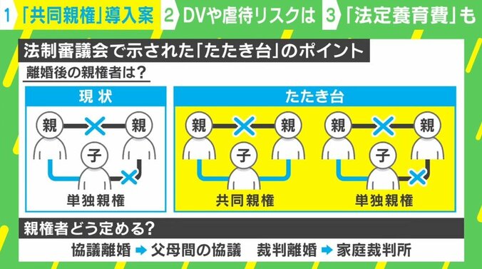 「相手と関わりたくない」反対の声も…離婚後の「共同親権」導入加速 虐待やDVのリスクは？ 専門家に聞く 2枚目