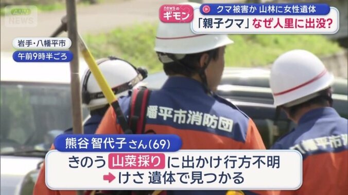 クマ被害か