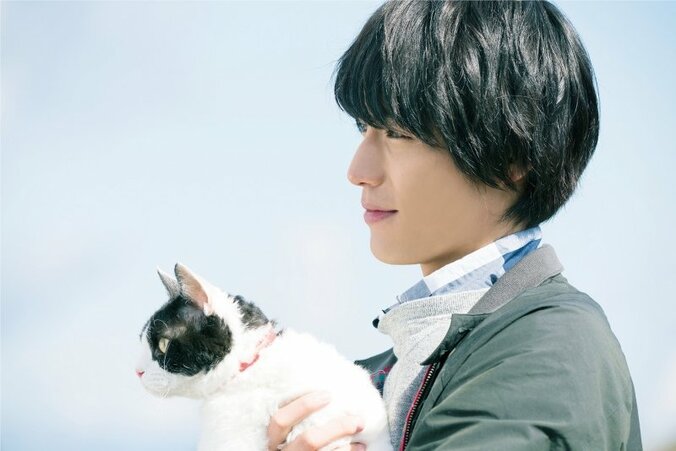 福士蒼汰主演『旅猫リポート』 おかしく、切なく、あたたかい長尺予告映像＆新場面写真解禁 2枚目