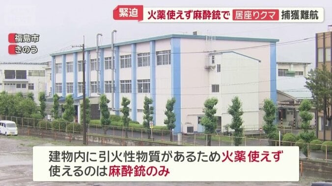 ハンターが使えるのは麻酔銃のみ