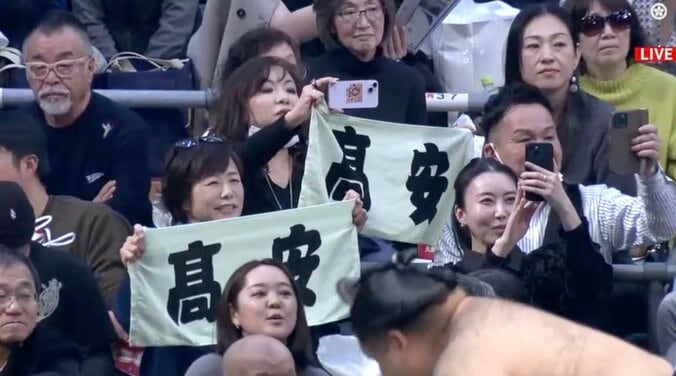 高安推しのハイヒール・モモコ