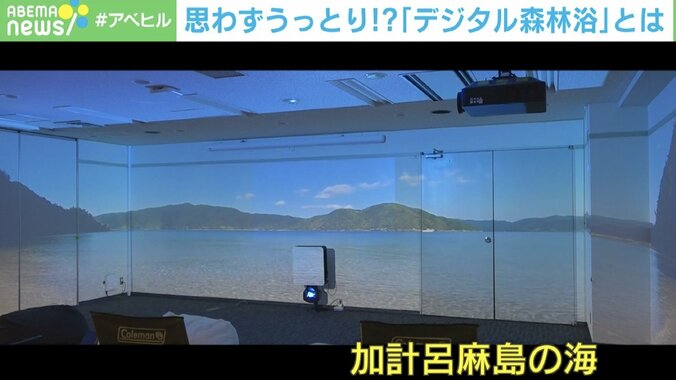 「耳で癒され、目でリラックス」“ぼーっとする時間”を獲得できる 「デジタル森林浴」とは？ 2枚目