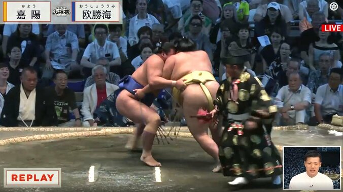 【写真・画像】愛され力士の“個性的な髷”が話題 貴重なバックショットに「キチンと整ってる」「美しすぎる」　1枚目