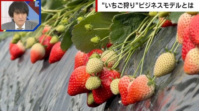 “いちご狩り”ビジネスモデルとは