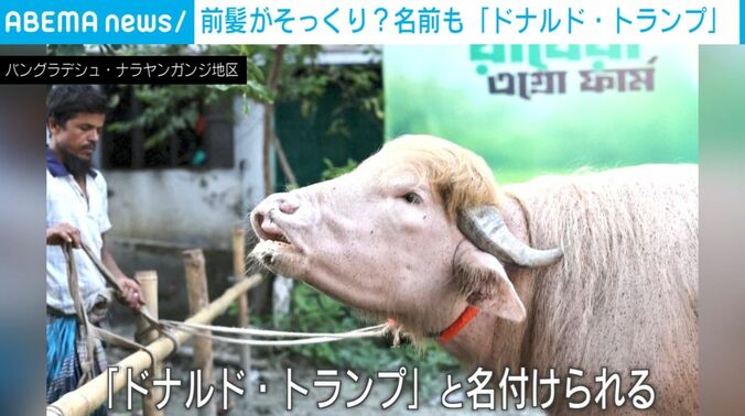 「ドナルド・トランプ」