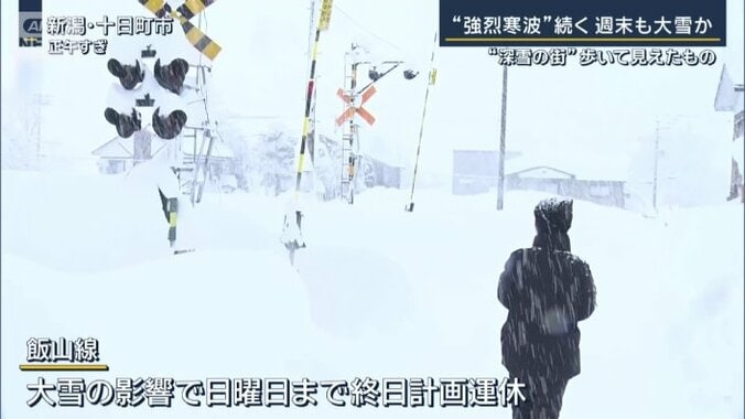 寺崎比呂美ディレクター